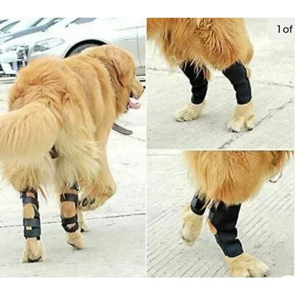 Joonem Canine Front Leg Wrap Support Brace Size L/XL Adjustable Strap New - Picture 1 of 6
